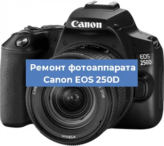Замена стекла на фотоаппарате Canon EOS 250D в Воронеже